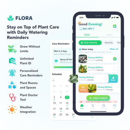 Flora Premium Plant Mister Spray Bottle Producing Gentle & Fine Mist for Precision Hydration
