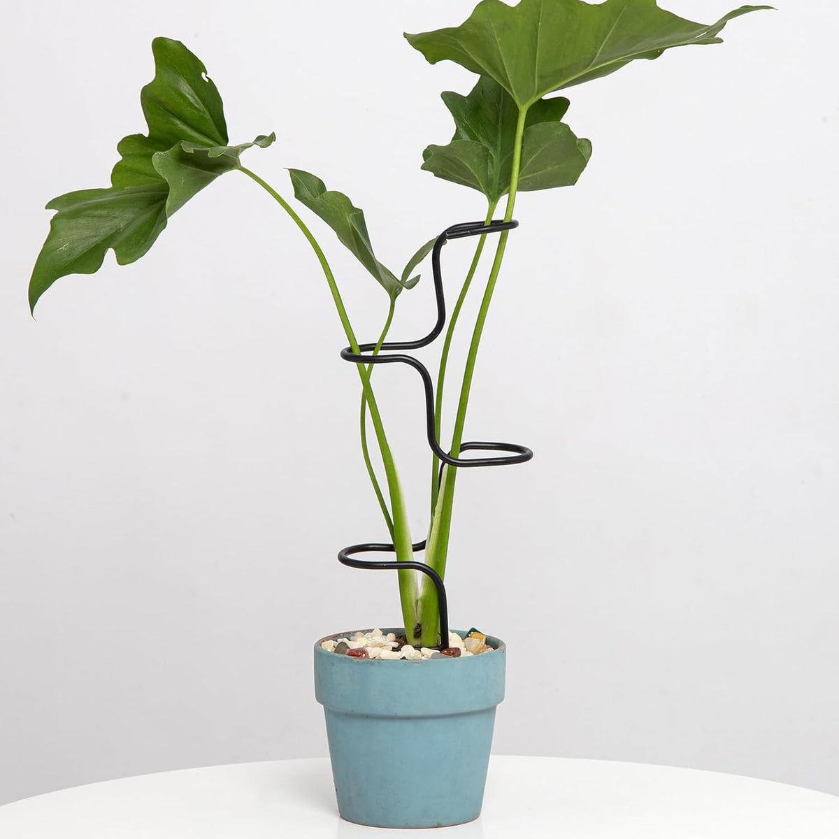 3PCS Indoor Plant Support Stakes - Sturdy Metal Trellis for Garden Flowers & Monstera, Durable &