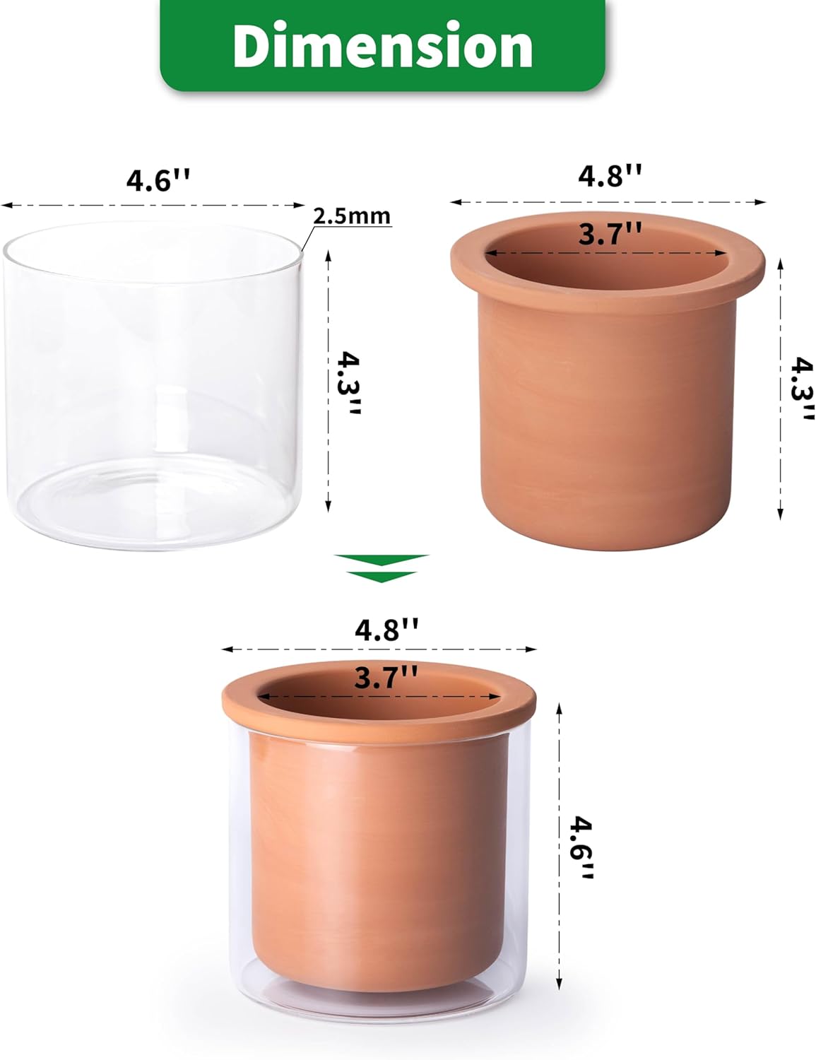 Phoenix Vine 4 Inch Self Watering Plants Pot, Design Terracotta Pot for Plants, Indoor Cylinder