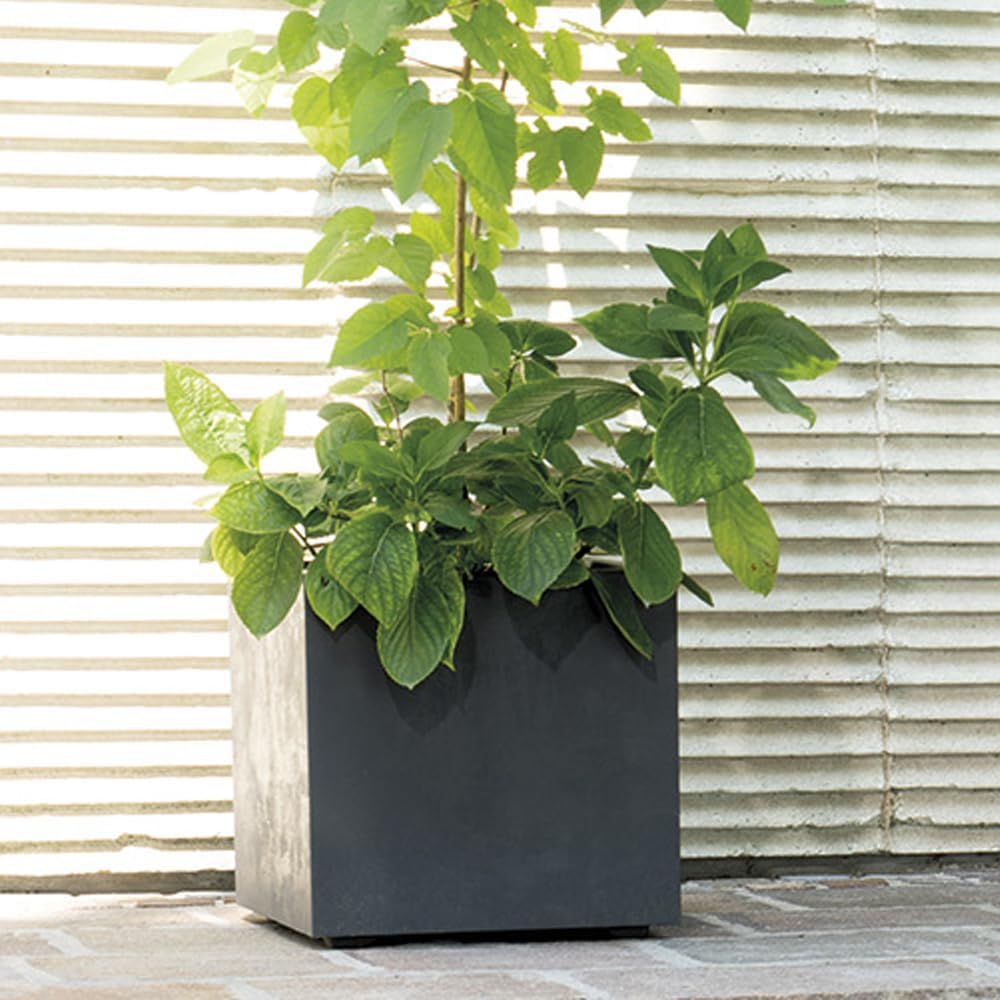 Deroma Millennium 10” Cube Planter | Light & Durable Plastic | Indoor or Outdoor Square Pot for