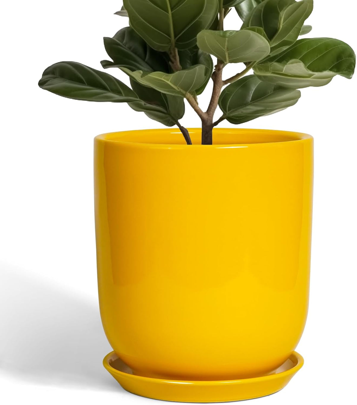 Ceramic Pot for Plants - 10 Inch Plant Pot Indoor with Drainage Hole and Saucer Large Planter for