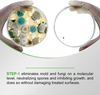 PermaSafe HVAC Solutions, Mold Removal & Prevention Treatment, and Indoor Air Quality Enhancer for