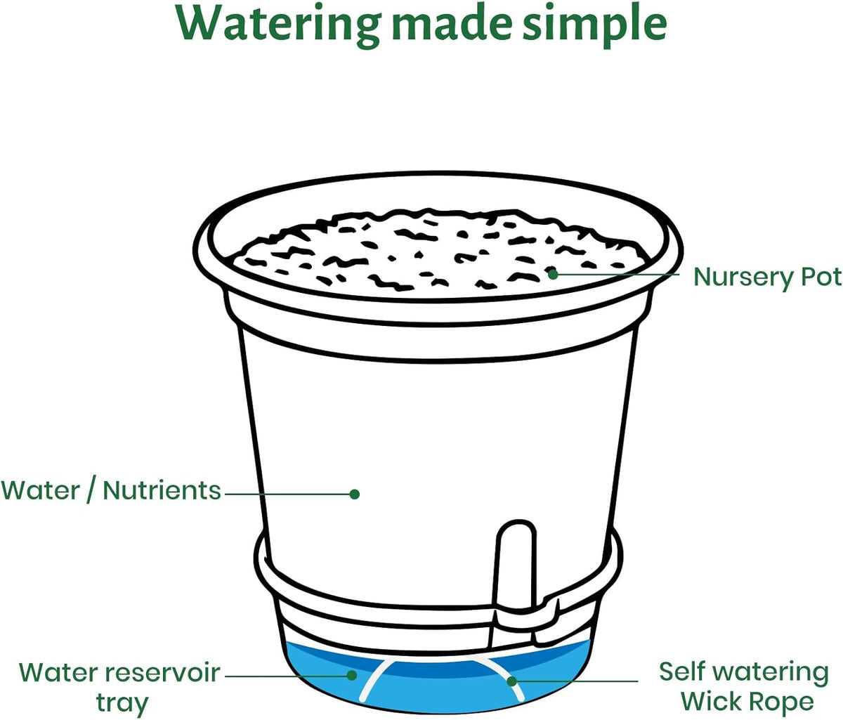 20 Pack 5 Inch Clear Self Watering Plant Pots with Bottom Water Tray & Watering Rope, Transparent