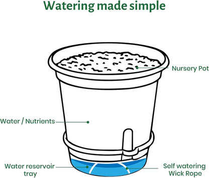 20 Pack 5 Inch Clear Self Watering Plant Pots with Bottom Water Tray & Watering Rope, Transparent