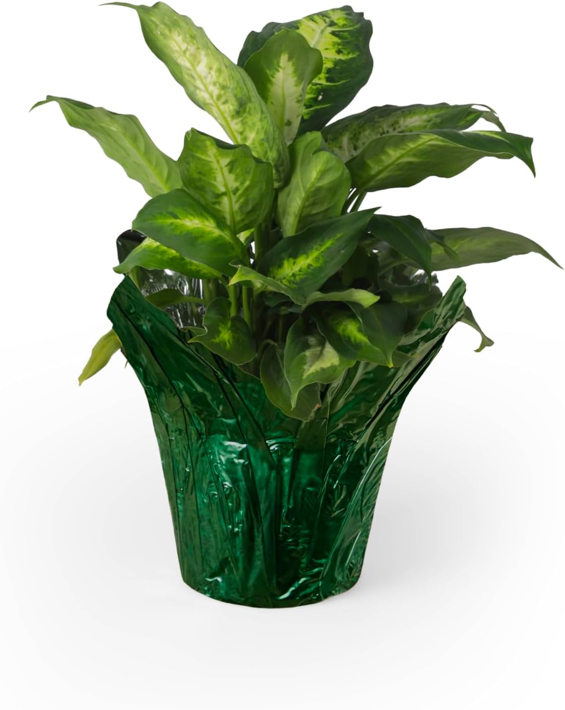 4.5” STD Plant Pot Covers, Decorative Plant Sleeve for Indoor & Outdoor House Plants, Reusable and