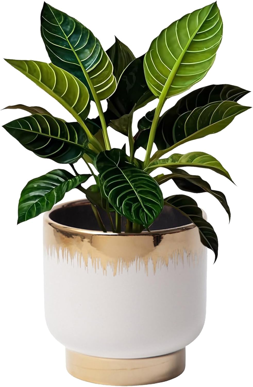 LB White Gold Ceramic Plant Pot for Indoor Plants, Succulent Planters Ceramic Plant Pots, Modern