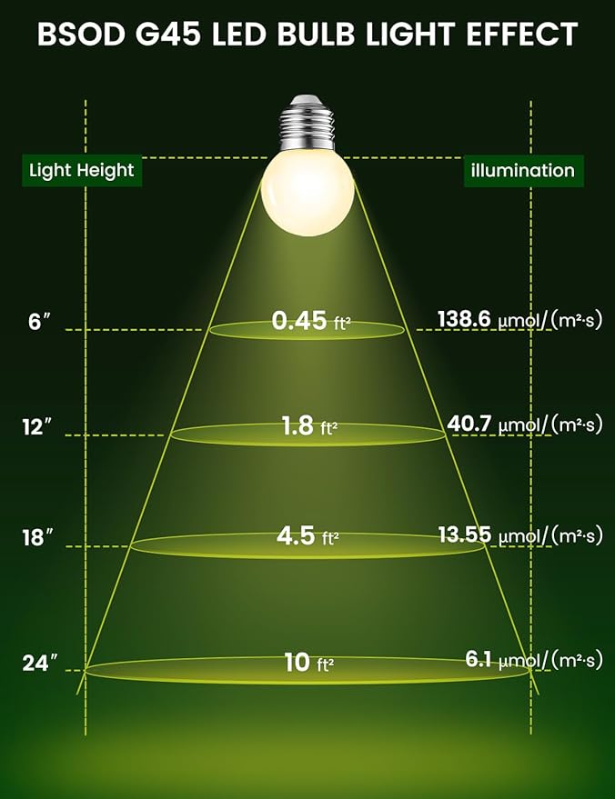 Full Spectrum Light Bulb, LED Light Bulb G45 Small Lightbulbs E26 White 5W Eq 40W Sunlight Night