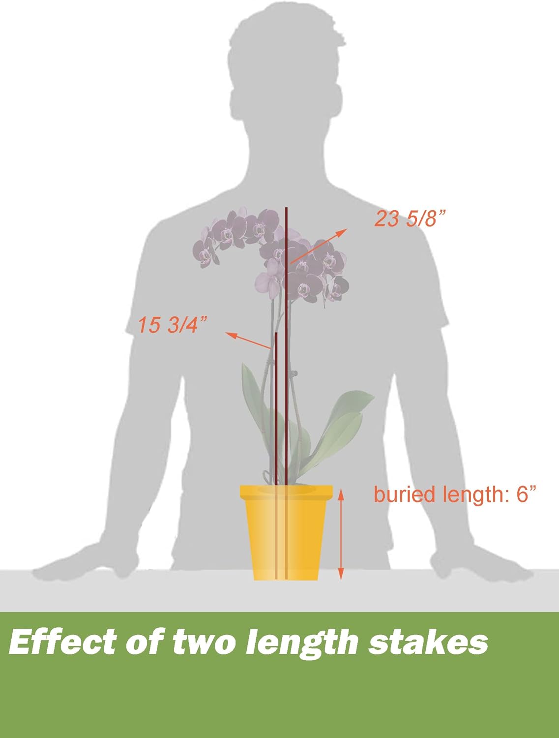 10-PCs 15-3/4" Plastic Coated Orchid Stakes for Plants Support, Bendable Orchid Support Stakes