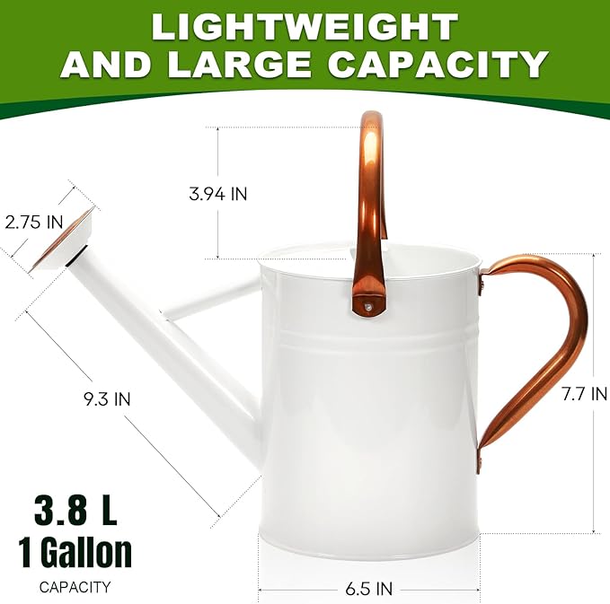 Metal Watering Can with Removable Spout, Galvanized Watering Can, Perfect for Indoor Use and for