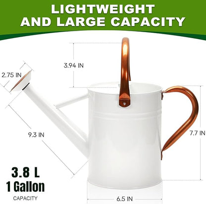 Metal Watering Can with Removable Spout, Galvanized Watering Can, Perfect for Indoor Use and for