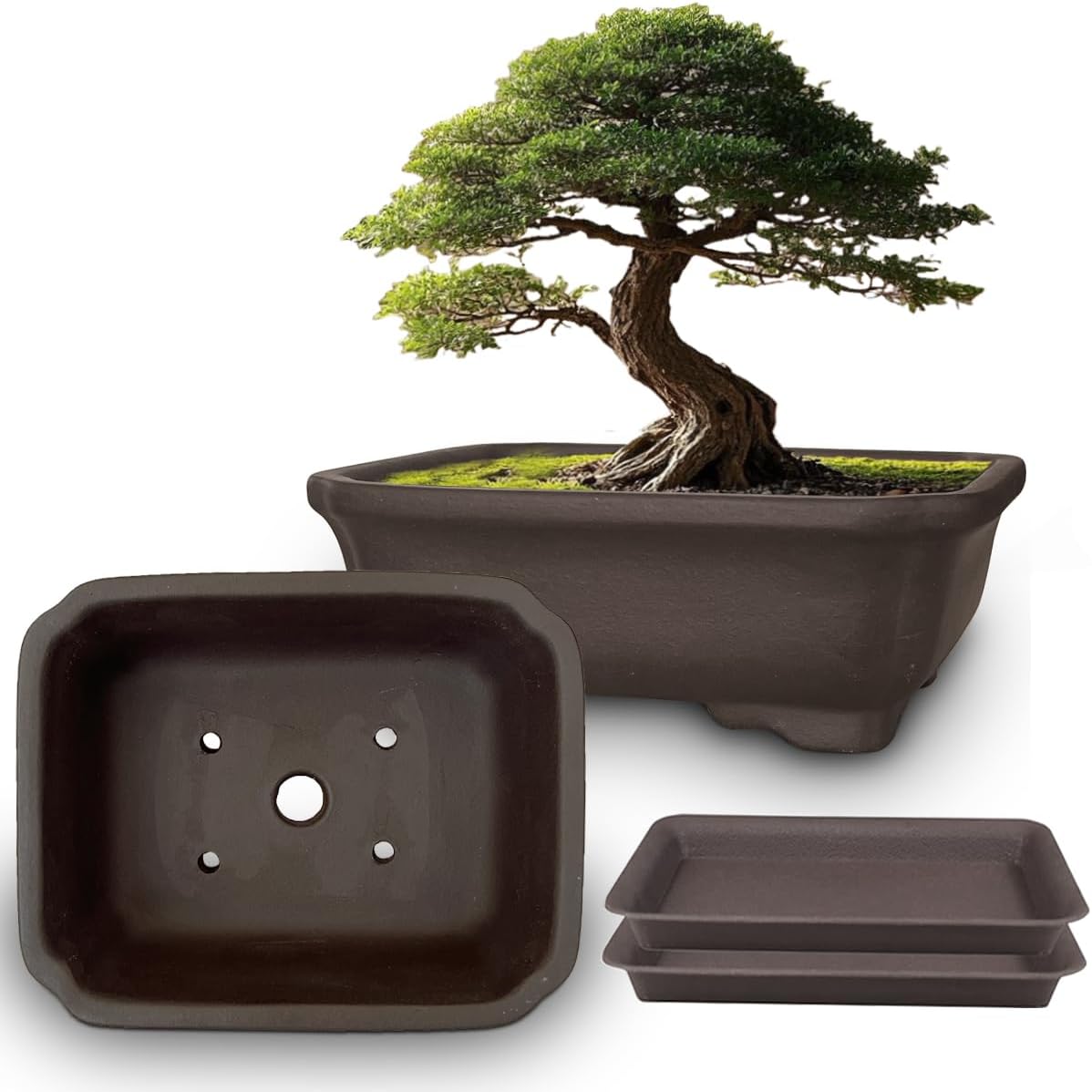 MUZHI 2PACK Unglazed 6” Ceramic Bonsai Pot with Humidity Trays, Breathable Handmade Rectangle