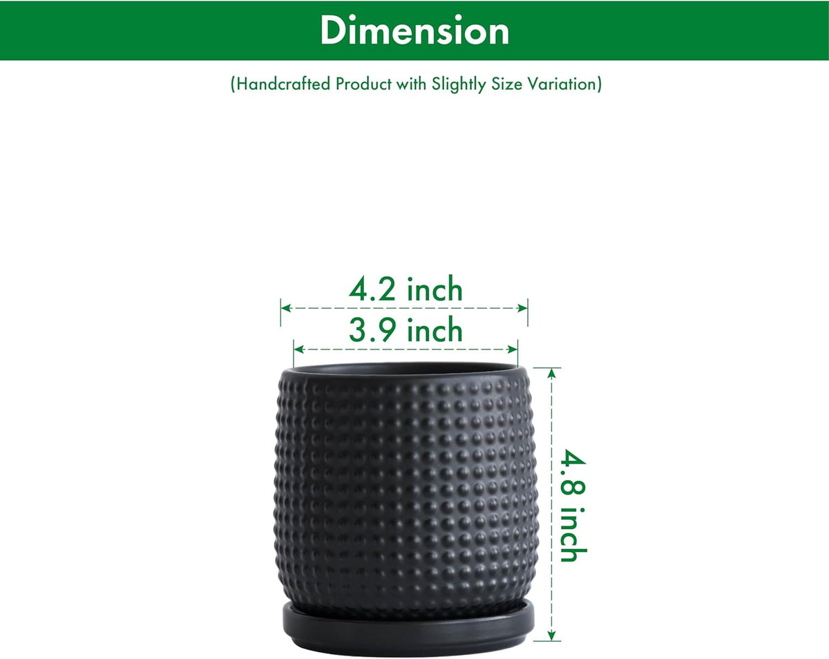 D'vine Dev Set of 2 Ceramic Plants Pots, 4 Inch Beaded Stoneware Flower Pot for Plants with