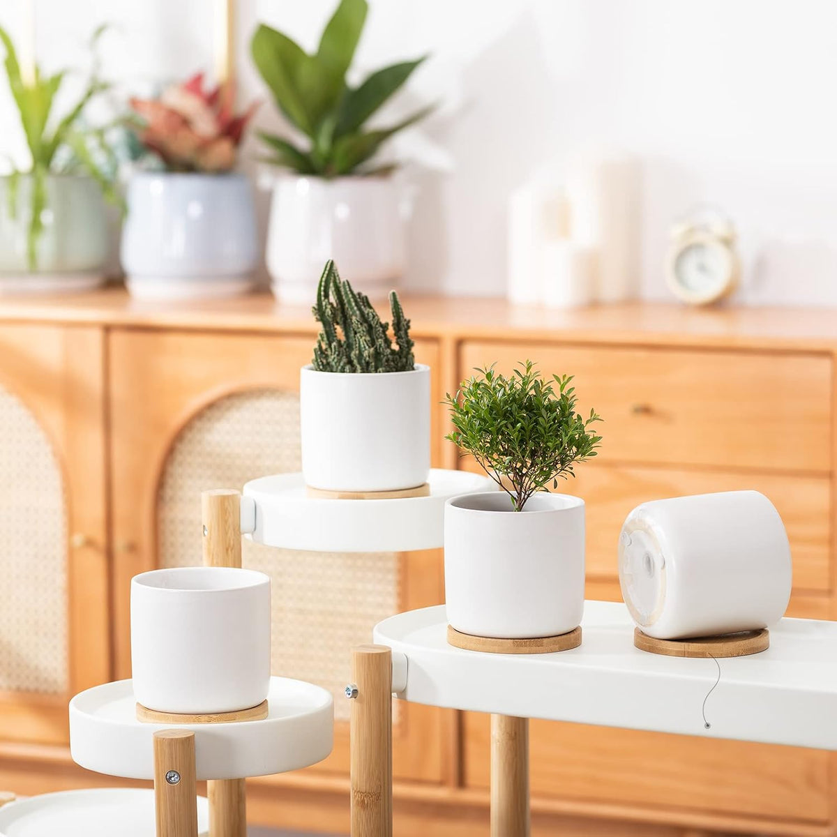 OMAYKEY 4 Inch Ceramic Plant Pot with Saucer, White Planters Pots with Drainage Hole and Mesh Pads