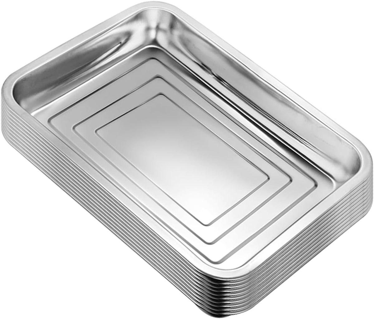 10 Pack Stainless Metal Trays, Stainless Steel Seed Starter Carry Tray for Nursery Seedling Pots