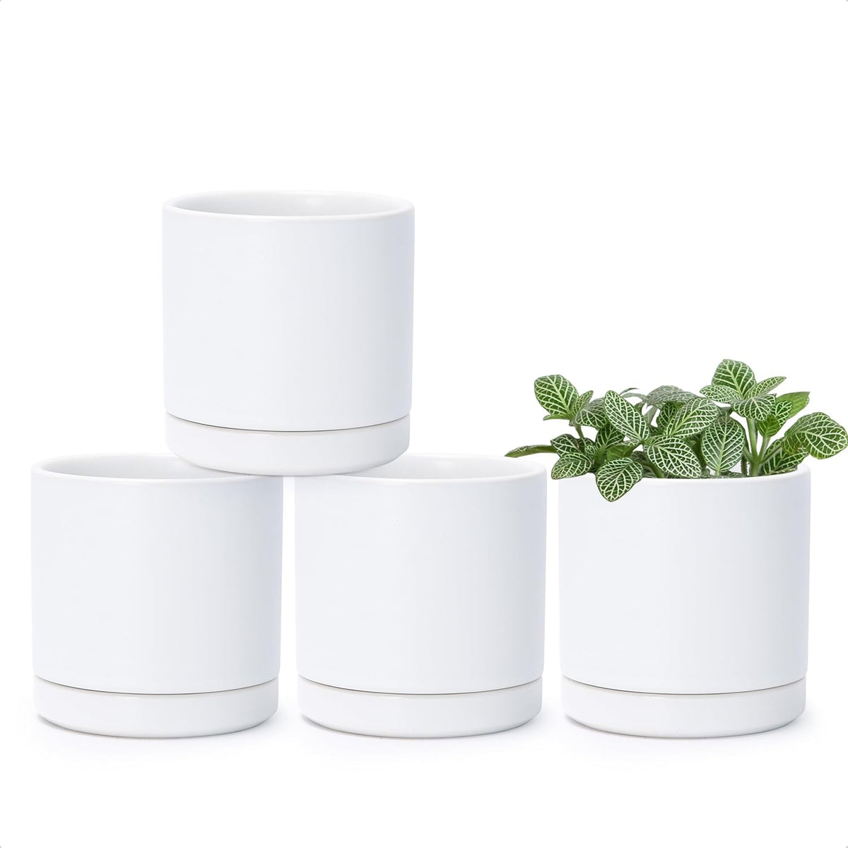 D'vine Dev Set of 4 Small Ceramic Plant Pots, 3.5 Inch Succulent Planter Pot for Plants with