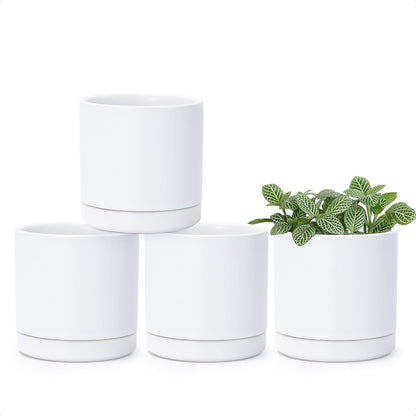 D'vine Dev Set of 4 Small Ceramic Plant Pots, 3.5 Inch Succulent Planter Pot for Plants with