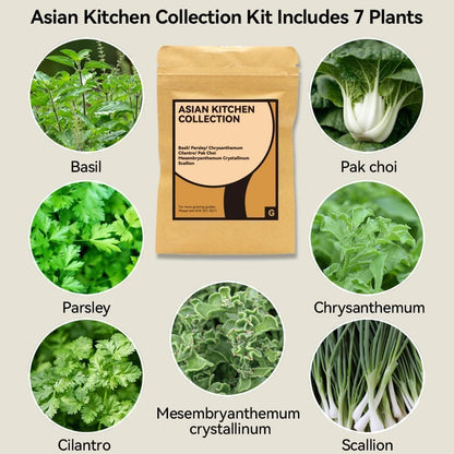 inbloom Herb Seed Pods Kit for AeroGarden, 7-Pods with Basil, Cilantro, Parsley Seed Hydroponic