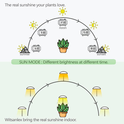 LED Grow Lights for Indoor Plants 4 Pack, Smart USB Small Full Spectrum Plant Lights with Remote