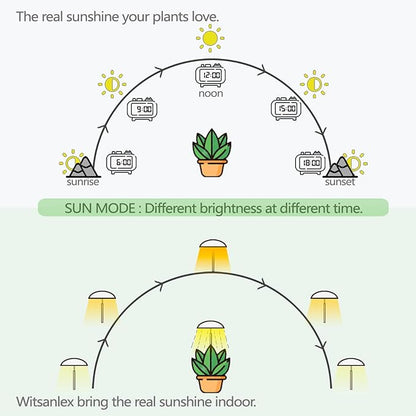 LED Grow Lights for Indoor Plants, Smart USB Small Full Spectrum Plant Lights with Remote, Height