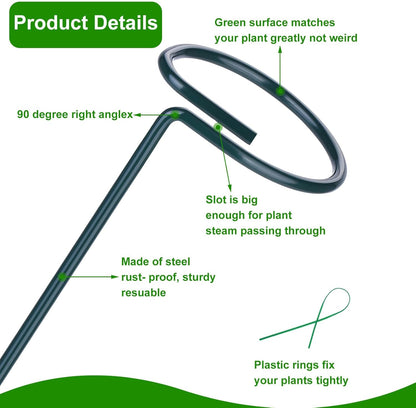 4 Pack Plant Support Stakes, 16/32 Inch Garden Stakes for Plants, Plant Accessories with 50 PCS