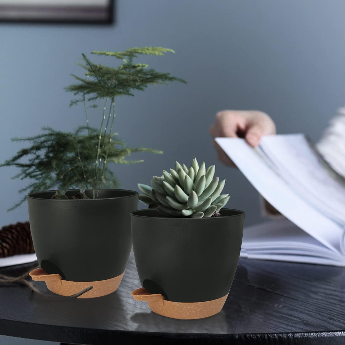 Self Watering Planters with Drainage Holes Reservoir,Nursery Planting Pot for Indoor Decor Garden