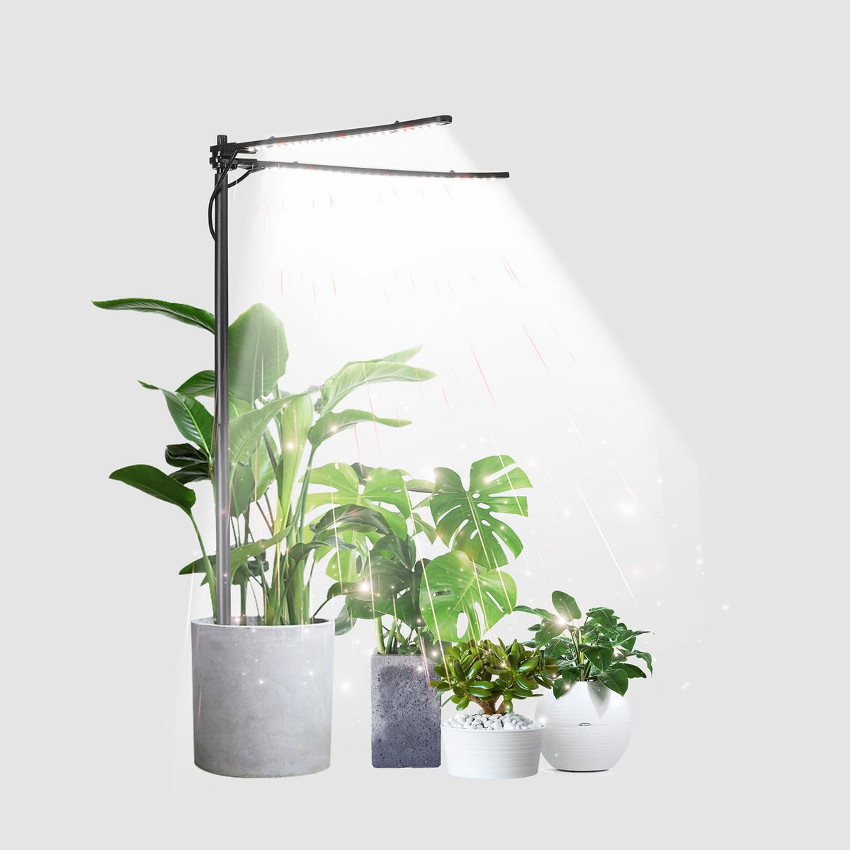Plant Grow Light, Plant Lamp for Indoor Plants Growing, 6000K White Red Light for Succulents Mini