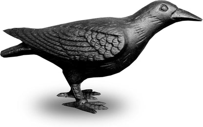 NACH Crow Decor, 4.5 x 11 x 3.5 inch, Cast Iron Black Raven Statue, Raven Decor for Outside - Head