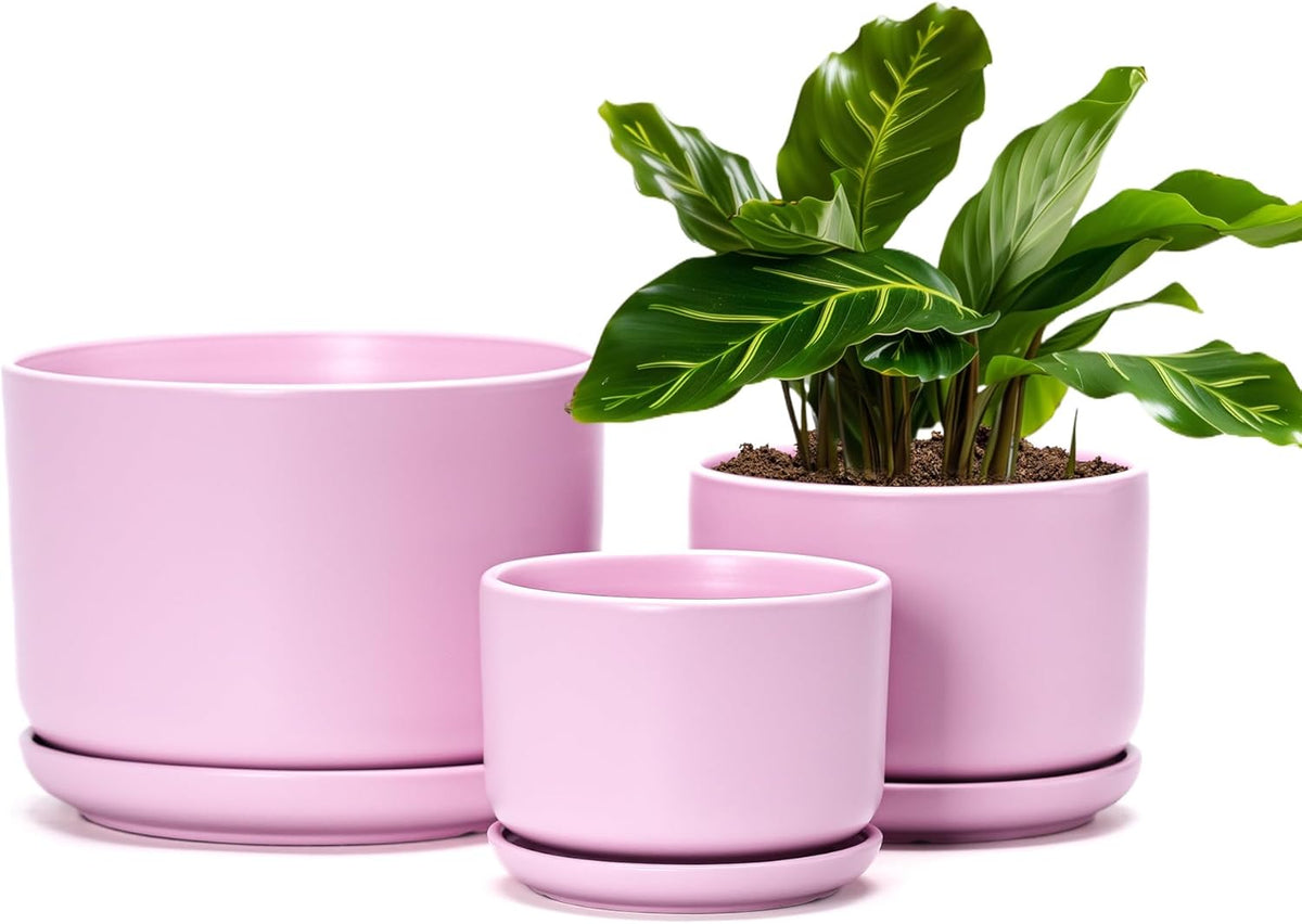 Ton Sin Plant Pots, 4.1+5.1+6.5 inch, Set of 3, Ceramic Planters with Drainage Hole and Saucer