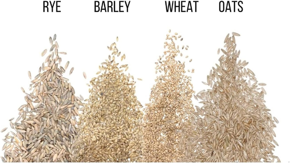 Cat Grass Seeds for Growing | 4 Way Blend, Rye, Wheat, Oats and Barley | Made in USA, Ships from