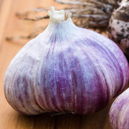1 Pound Garlic for Planting in Fall Hardneck, 8-10 Purple Garlic Bulbs for Planting, Fresh and High