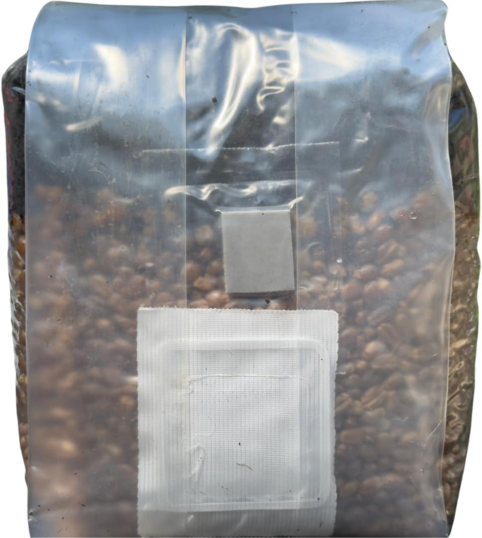 Mushroom Grow Kit - Magic All in One Mushroom Grow Bags (Pack of 1)