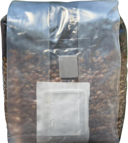 Mushroom Grow Kit - Magic All in One Mushroom Grow Bags (Pack of 1)