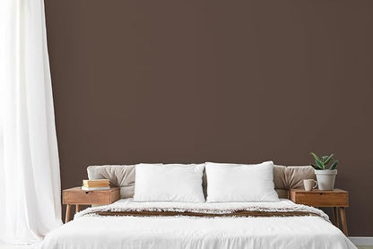 EVOLVE Paint & Primer: Environment-friendly, Low Sheen with One-coat Coverage for Interior &