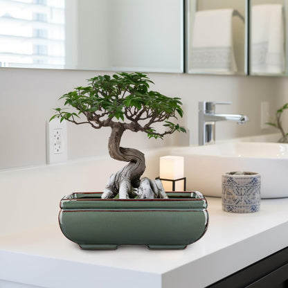 Ceramic Bonsai Pots with Drainage Hole Set of 2, Green Glazed Bonsai Planters for Indoor/Outdoor
