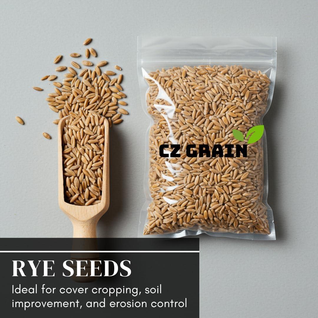 Rye Grass Seed - Fast Growing and Hardy Grass, Cover Crop, Food Plot. Grazing Pasture Seeds (25