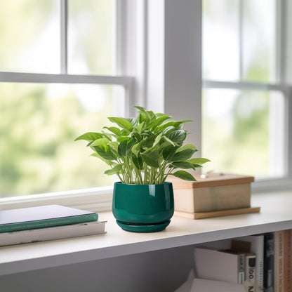 G EPGardening 4 inch Plant Pots - Small Ceramic Planter with Drainage Hole & Tray, Succulent Pots