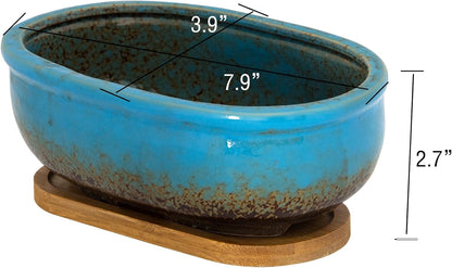 Succulent Pots, 7.9 Inch Long Rectangular Succulent Planters with Drainage Tray, Shallow Planters