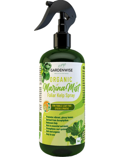 Organic Marina Mist Foliar Spray for Fiddle Leaf Fig and Other Ficus Trees | Micro Nutrients for
