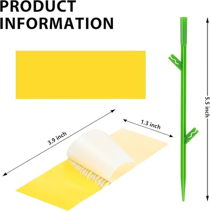 60PCS Yellow Sticky Traps for Gnats Fungus Gnat Traps for House Indoor Fruit Fly Traps for