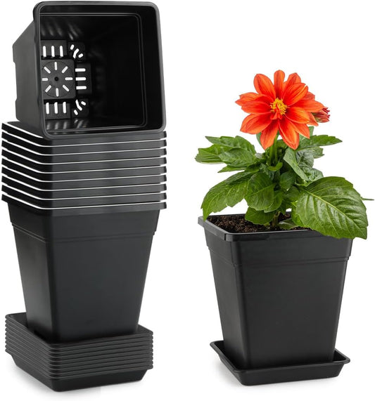 6 inch Plant Pots, 10 Pack Flower Pots Outdoor Indoor, Square Plastic Planter with Drainage Holes