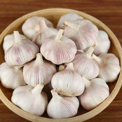 1 Pound Hard Neck Garlic for Planting in Fall, Music Garlic Bulb for Planting, Fresh and High