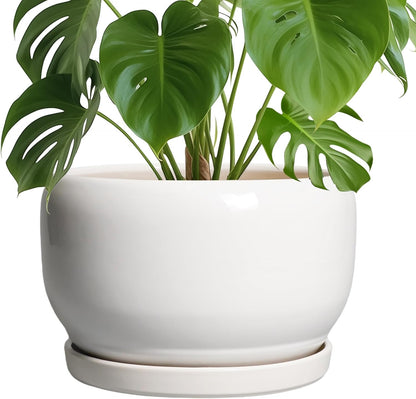 SQOWL Ceramic Pot for Plants - 10 Inch Planter with Drainage Hole and Saucer, Round Ceramic Flower