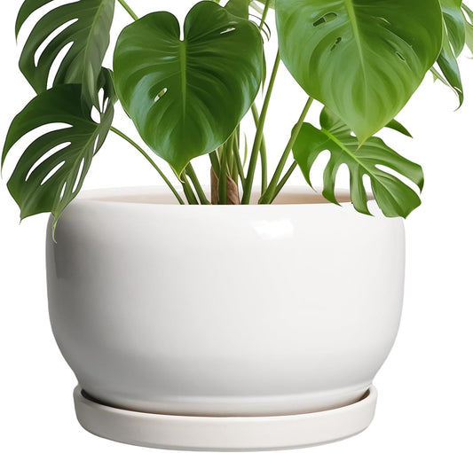 SQOWL Ceramic Pot for Plants - 10 Inch Planter with Drainage Hole and Saucer, Round Ceramic Flower