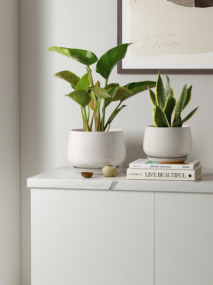 LE TAUCI Plant Pots, 4.1+5.1+6.5 inch, Set of 3, Ceramic Planters with Drainage Hole and Saucer