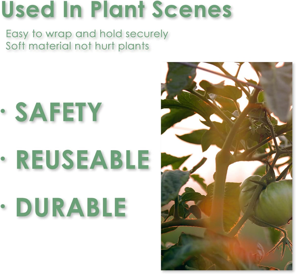 Garden Tie Green Tape, Plant Supports, Gentle On Plants (32.8ft × 0.6 inch, 2 Rolls, Green)