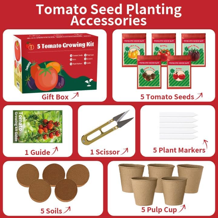 5 Pack Tomato Seeds for Planting - 100+ Heirloom Tomato & Tomatillo Seeds Variety Pack to Grow in