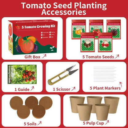5 Pack Tomato Seeds for Planting - 100+ Heirloom Tomato & Tomatillo Seeds Variety Pack to Grow in