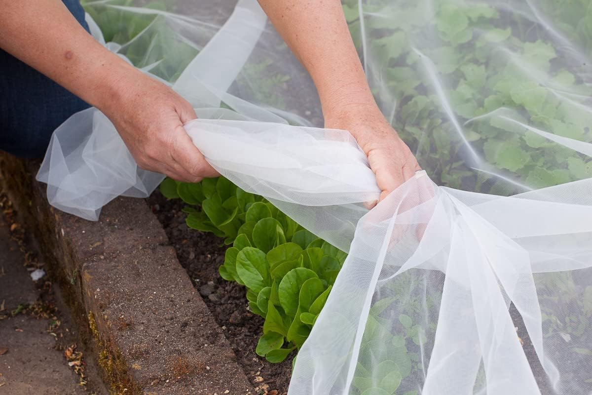 Agfabric Bird Netting 72" Hx72 W Garden Netting,Plant Cover Fruit Tree Netting Mesh Protection Bag