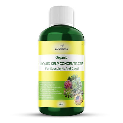 Organic Kelp Seaweed Fertilizer: Premium Succulent and Cactus Food - Indoor Plant Nutrition with