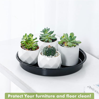 Plant Saucer 30 Pack Plant Trays for Pots 4/6/8/10/12 Inch Plastic Plant Saucers for Outdoors &